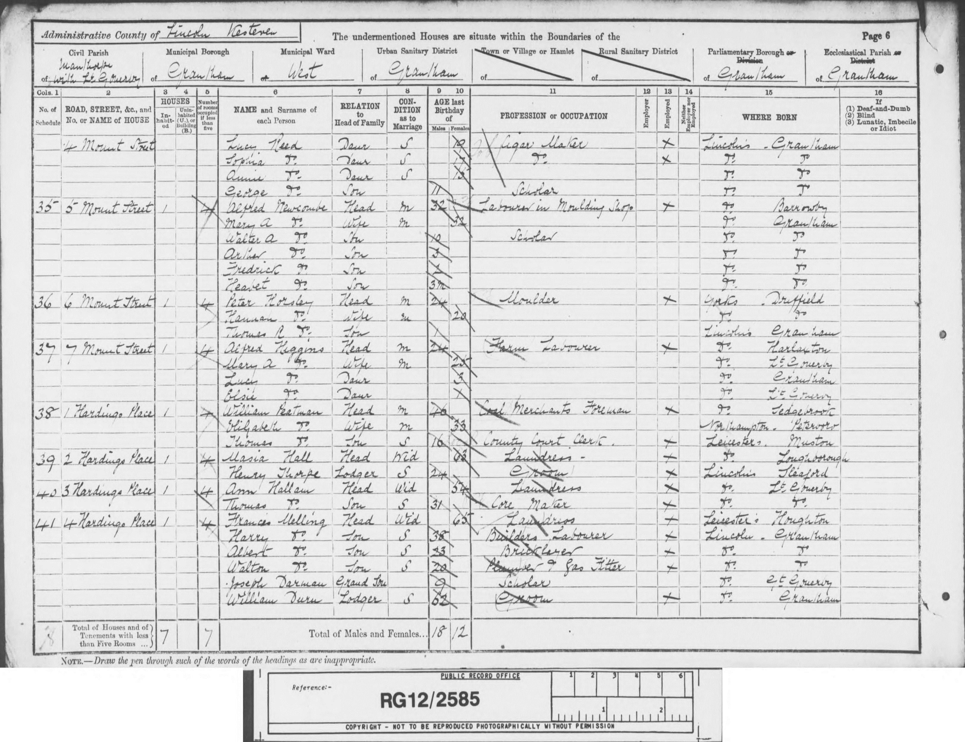 Reed Family 1891 Census - 2