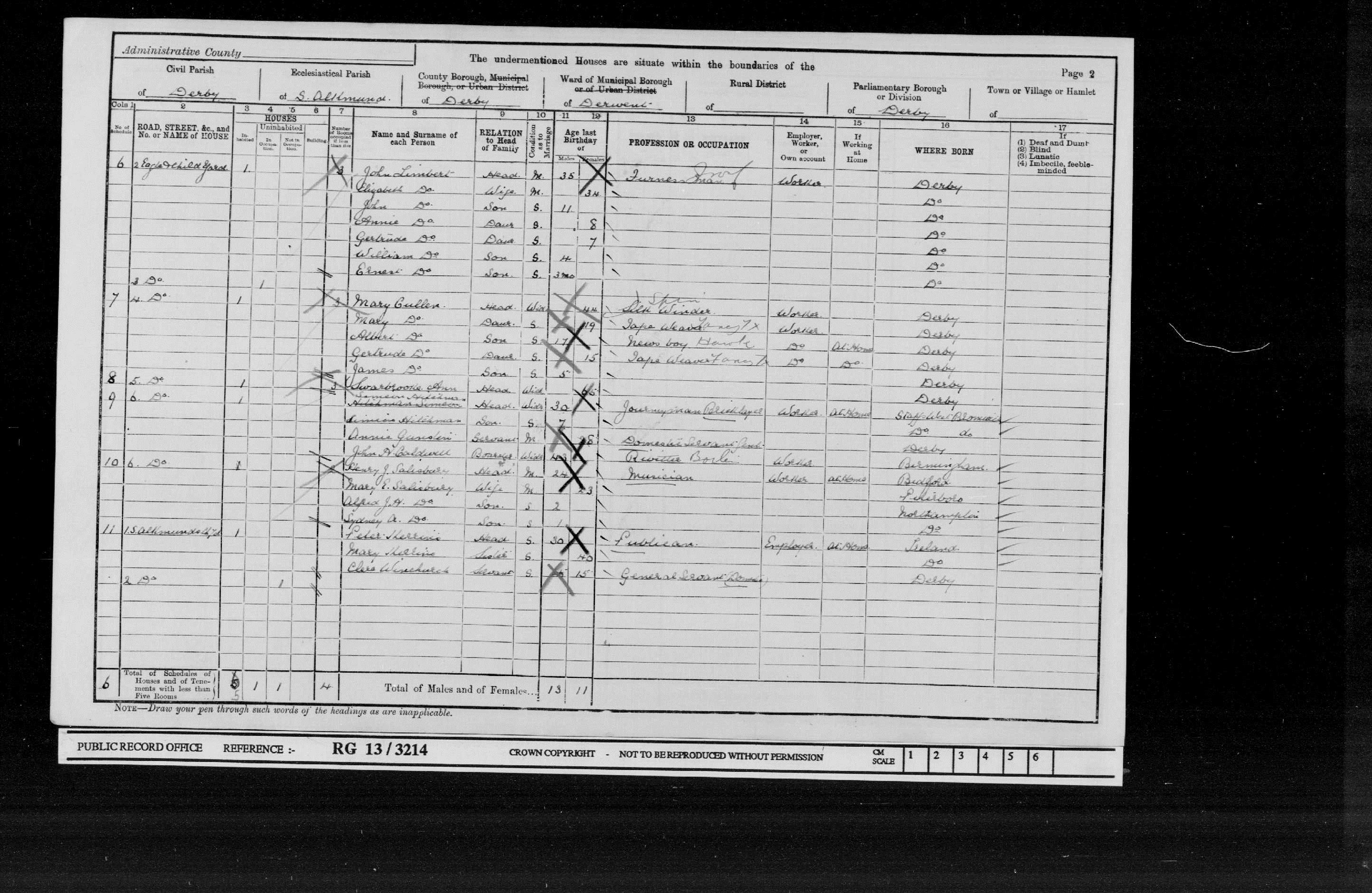 Cullen Family 1901 Census